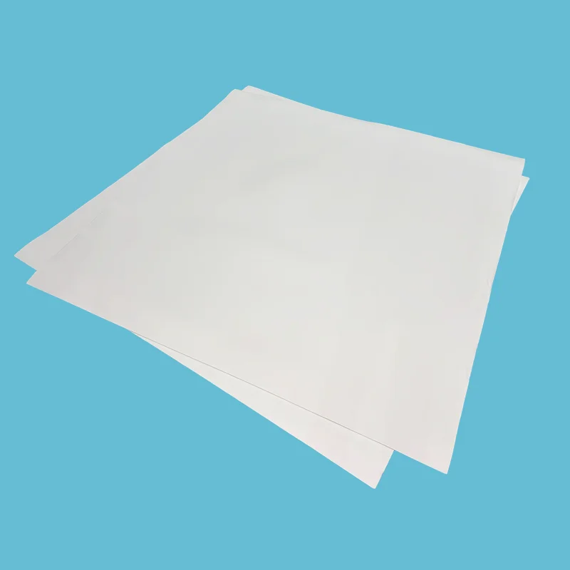 Folha de PTFE expandida